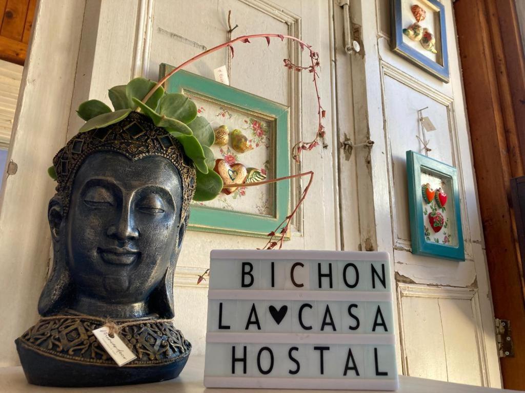 Bichon La Casa Hostal Pichilemu Kültér fotó