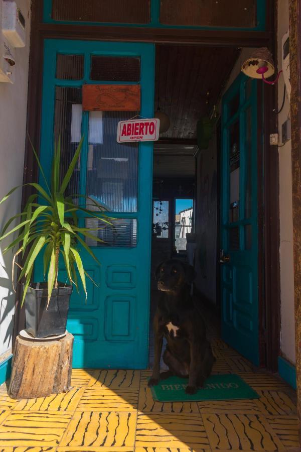 Bichon La Casa Hostal Pichilemu Kültér fotó